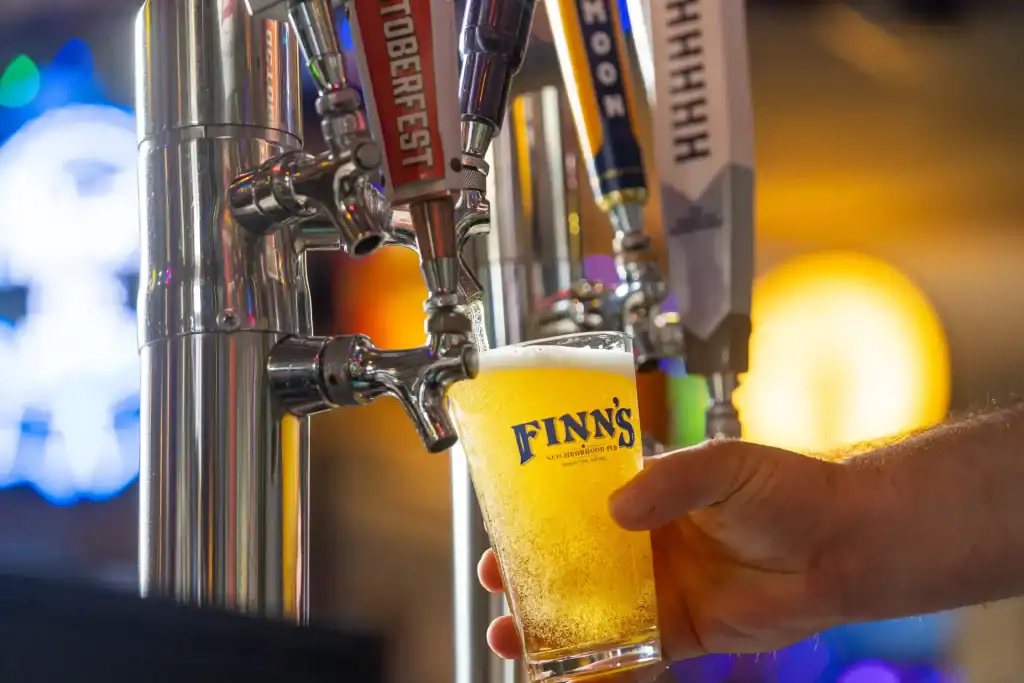 20241114 finns pub 0009